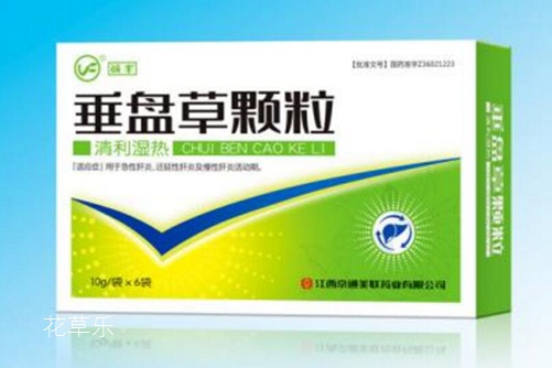 垂盆草如何安全越冬,垂盆草的养殖方法介绍